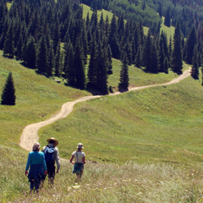 Hikers on Independence Pass trail